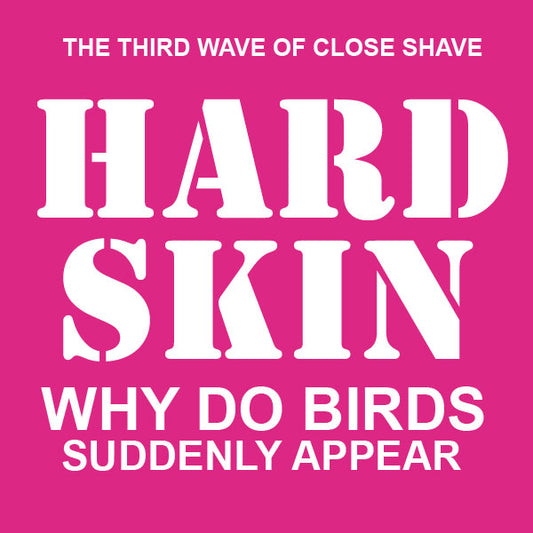 Hard Skin "Why do birds suddenly appear" CD